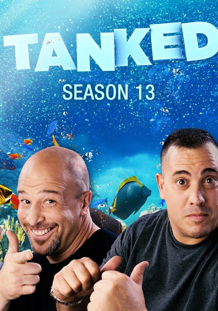 Tanked Season 13 watch full episodes streaming online